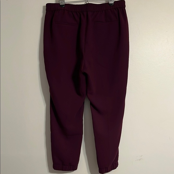 J. Crew‎ Factory Sydney Pull On Pants Joggers Plum purple - Picture 5 of 5